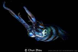 Starry Eyes in the black by Chun Zhou 